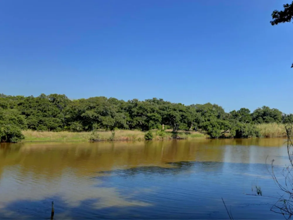 2746 Shady Creek Lane Freeport, TX 77541