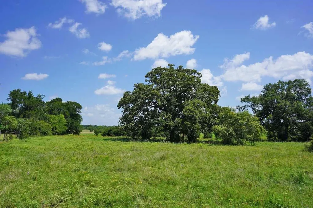 65 County Road 419 Navasota, TX 77868