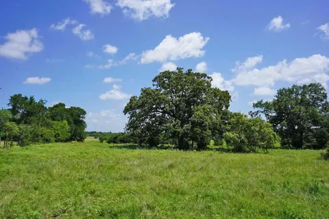 65 County Road 419