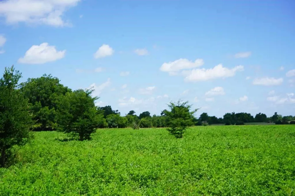 65 County Road 419 Navasota, TX 77868