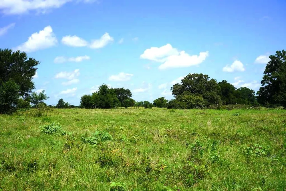 65 County Road 419 Navasota, TX 77868