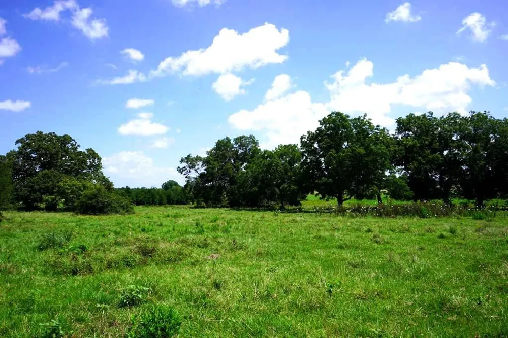 65 County Road 419 Navasota, TX 77868