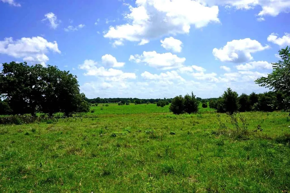 65 County Road 419 Navasota, TX 77868