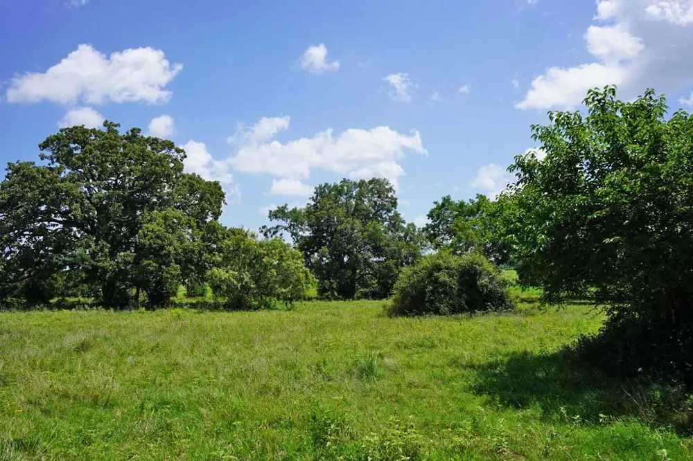 65 County Road 419 Navasota, TX 77868