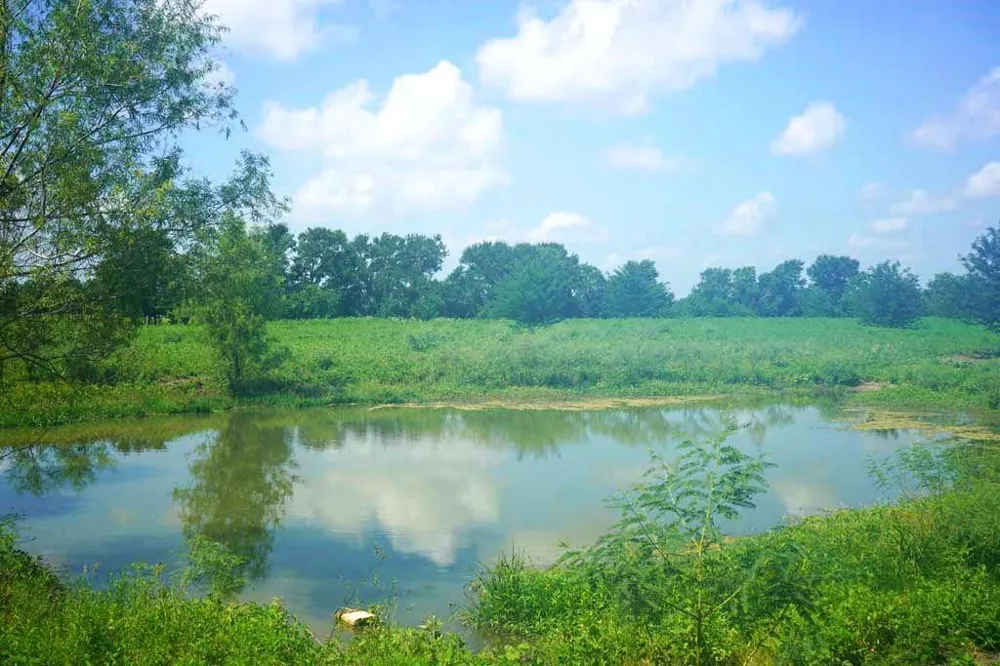 65 County Road 419 Navasota, TX 77868