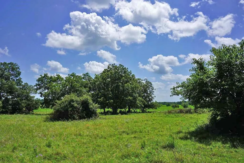 65 County Road 419 Navasota, TX 77868