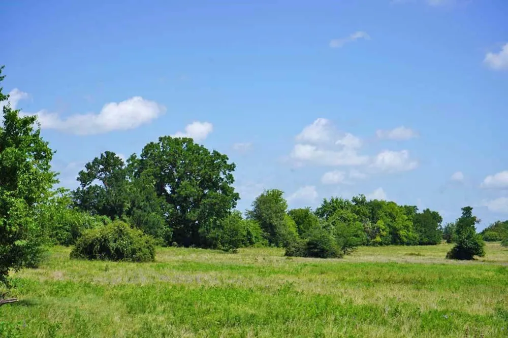 65 County Road 419 Navasota, TX 77868