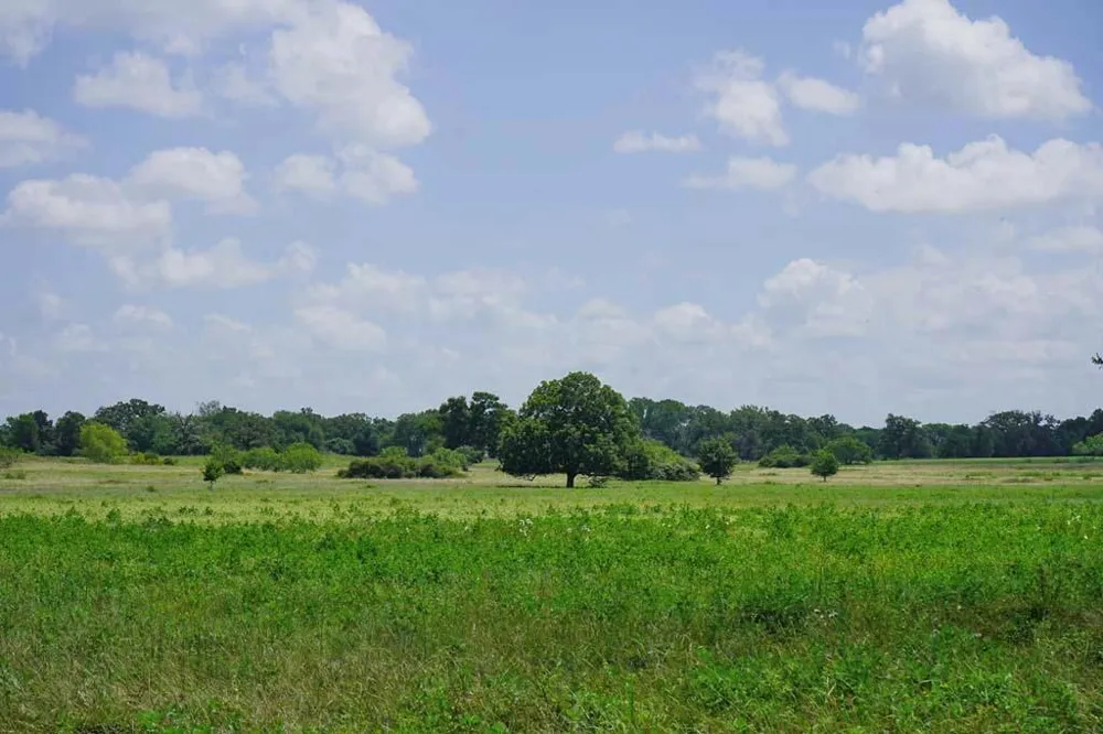 65 County Road 419 Navasota, TX 77868