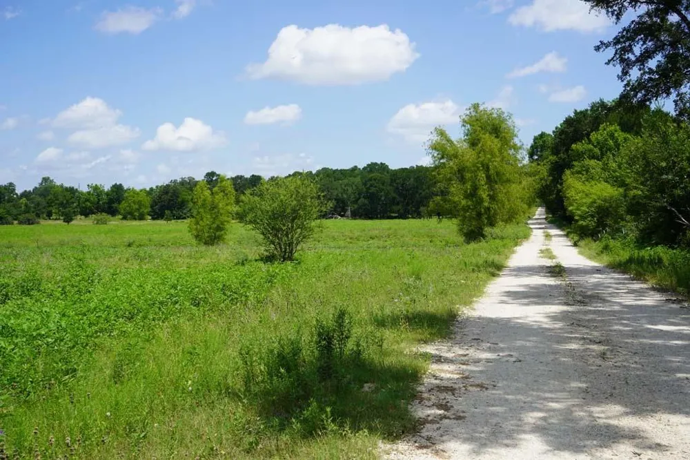 65 County Road 419 Navasota, TX 77868