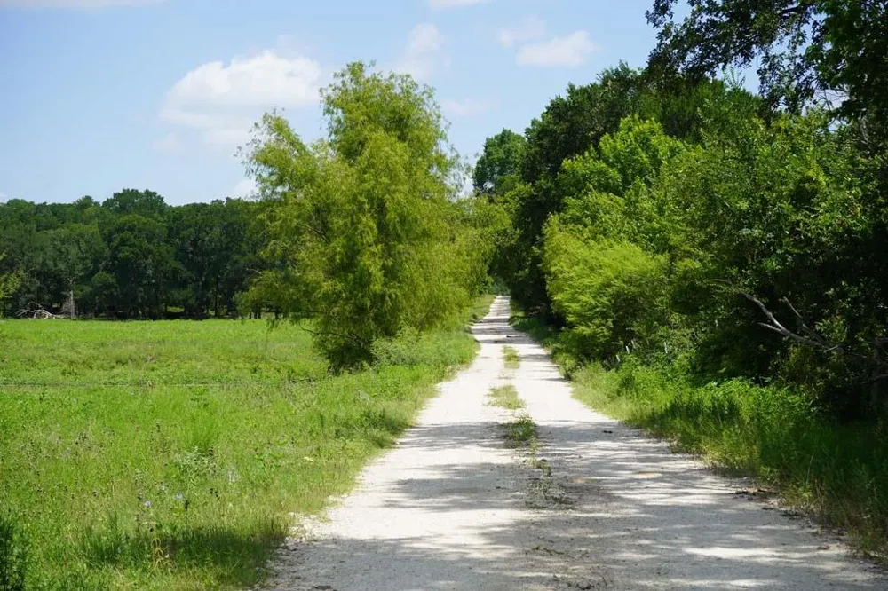 65 County Road 419 Navasota, TX 77868