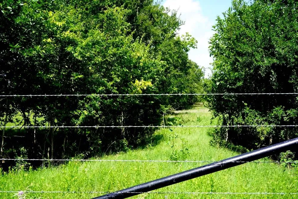 65 County Road 419 Navasota, TX 77868