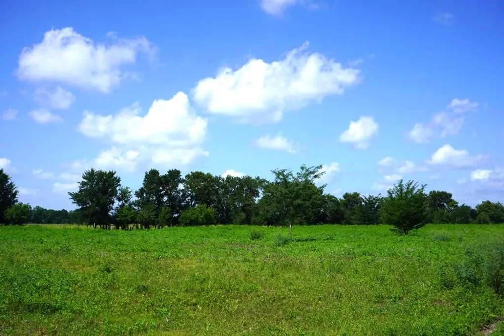 65 County Road 419 Navasota, TX 77868