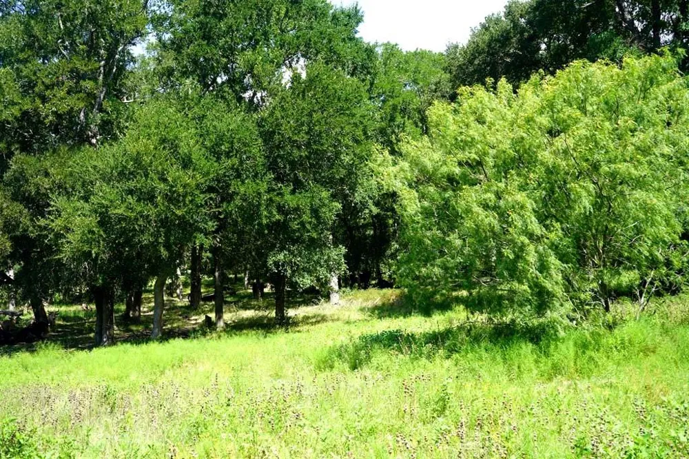 65 County Road 419 Navasota, TX 77868
