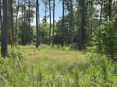 8 Private Road 6028 Tract 1-8