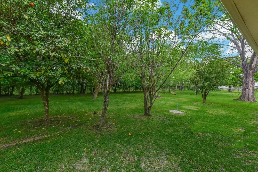 18610 Anne Drive Webster, TX 77058
