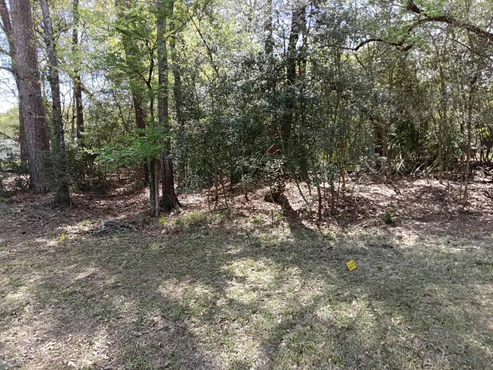 1004 White River Road