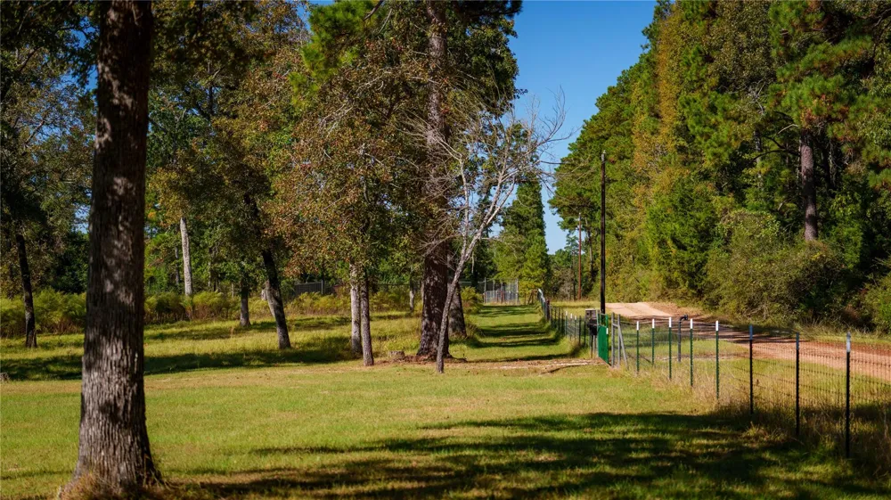 15383 County Road 236 Oakwood, TX 75855