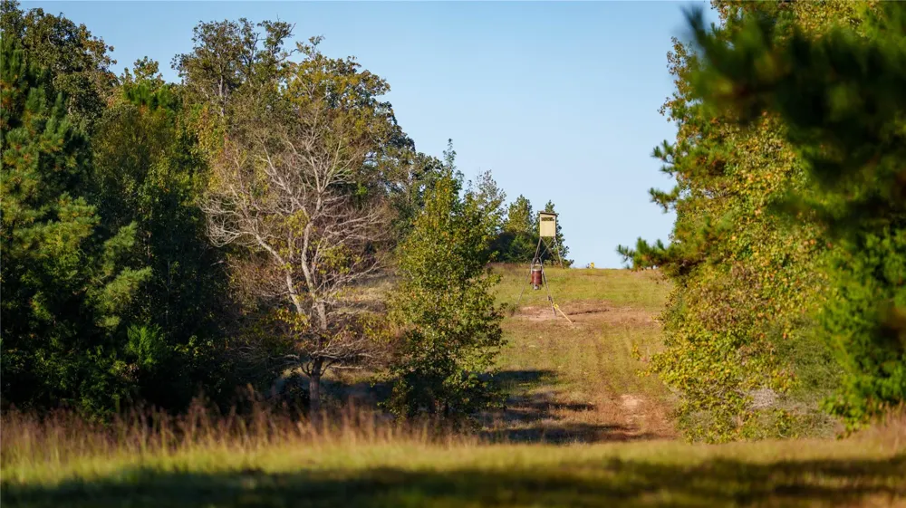 15383 County Road 236 Oakwood, TX 75855