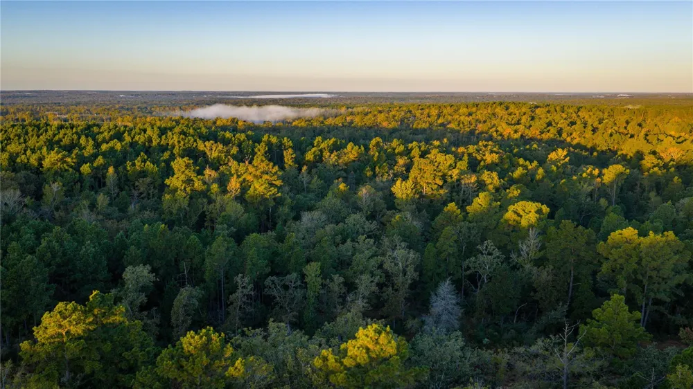 15383 County Road 236 Oakwood, TX 75855