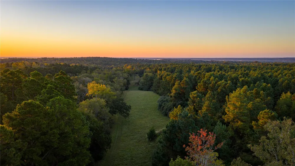 15383 County Road 236 Oakwood, TX 75855