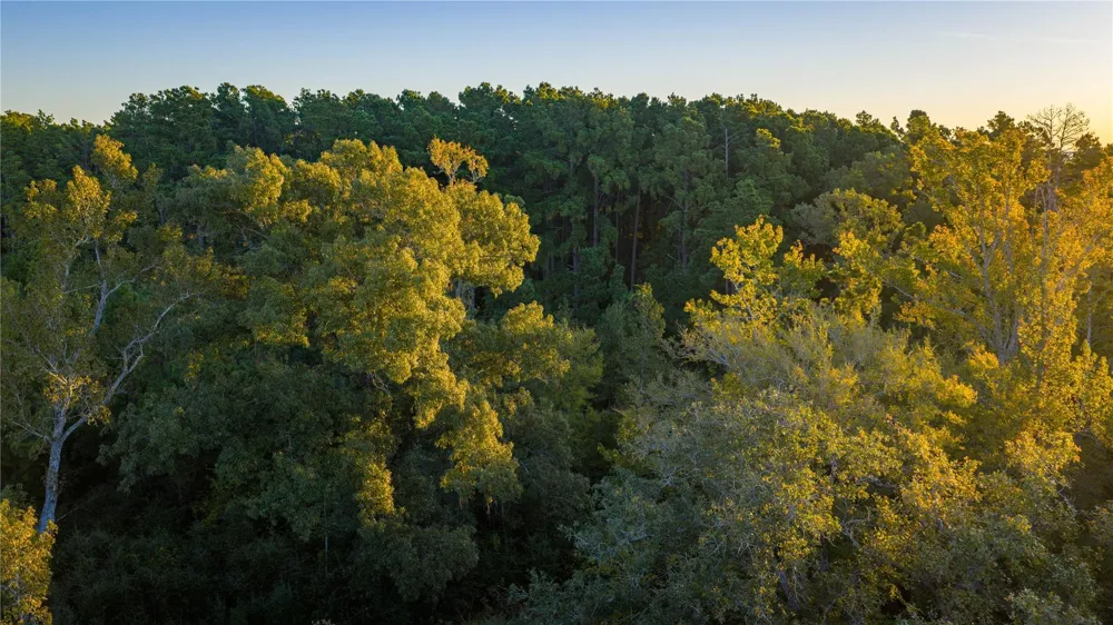 15383 County Road 236 Oakwood, TX 75855
