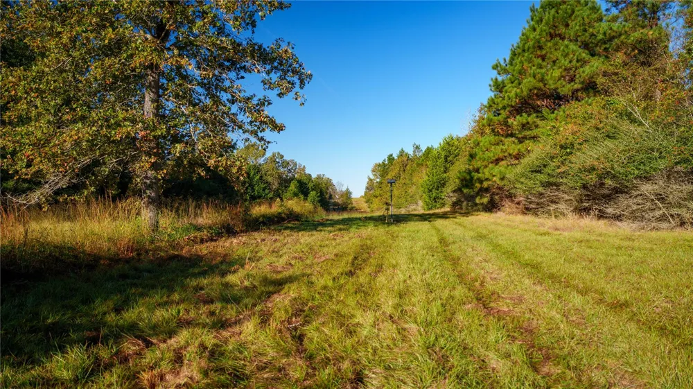 15383 County Road 236 Oakwood, TX 75855