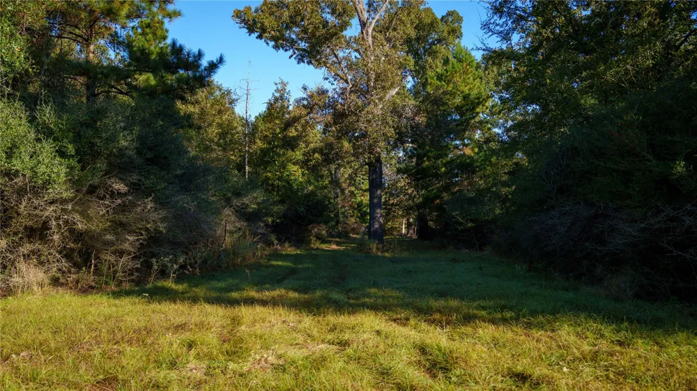 15383 County Road 236 Oakwood, TX 75855