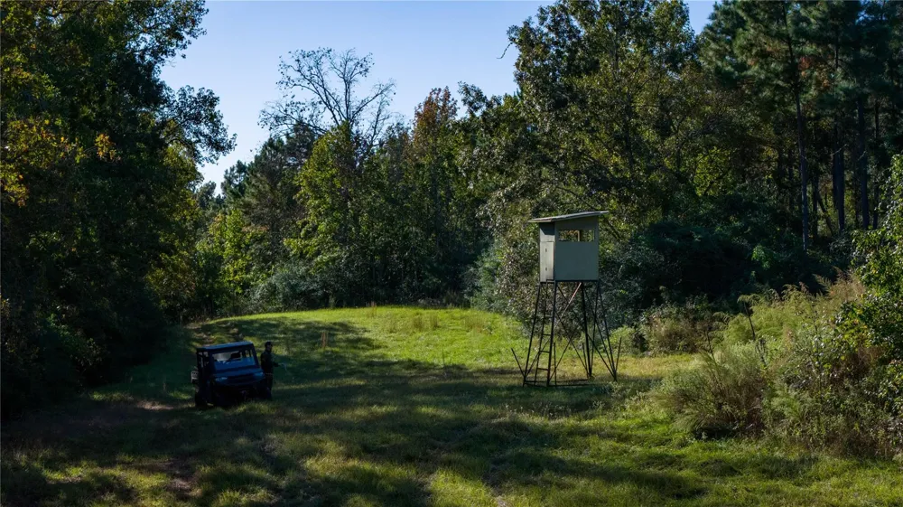 15383 County Road 236 Oakwood, TX 75855