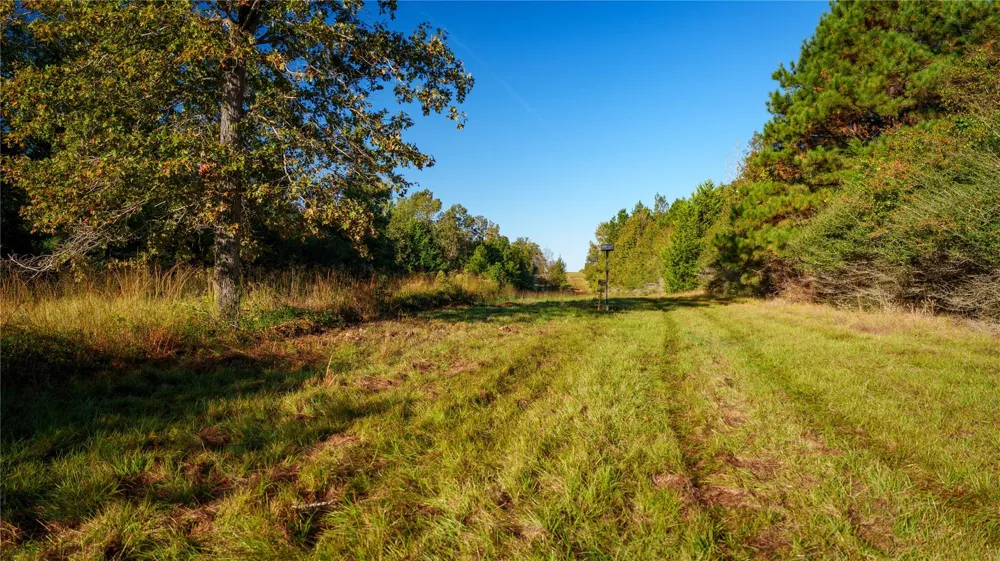 15383 County Road 236 Oakwood, TX 75855