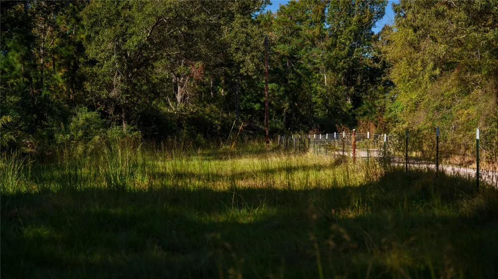 15383 County Road 236 Oakwood, TX 75855