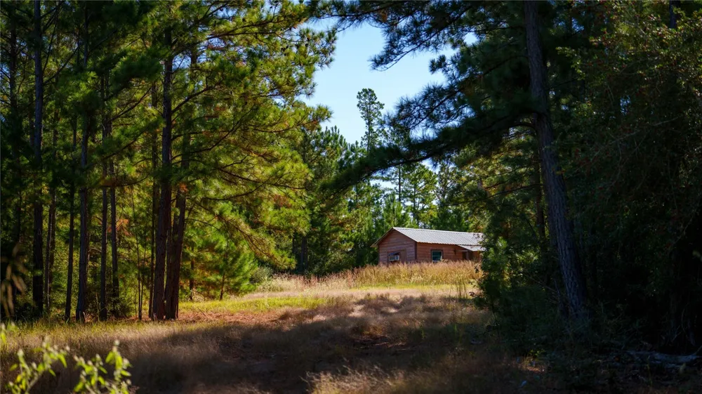 15383 County Road 236 Oakwood, TX 75855