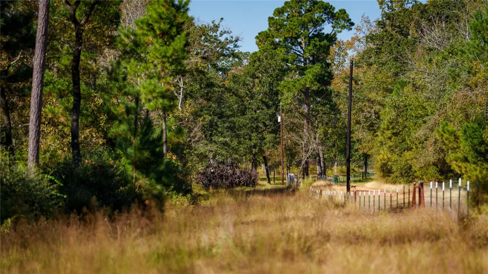 15383 County Road 236 Oakwood, TX 75855