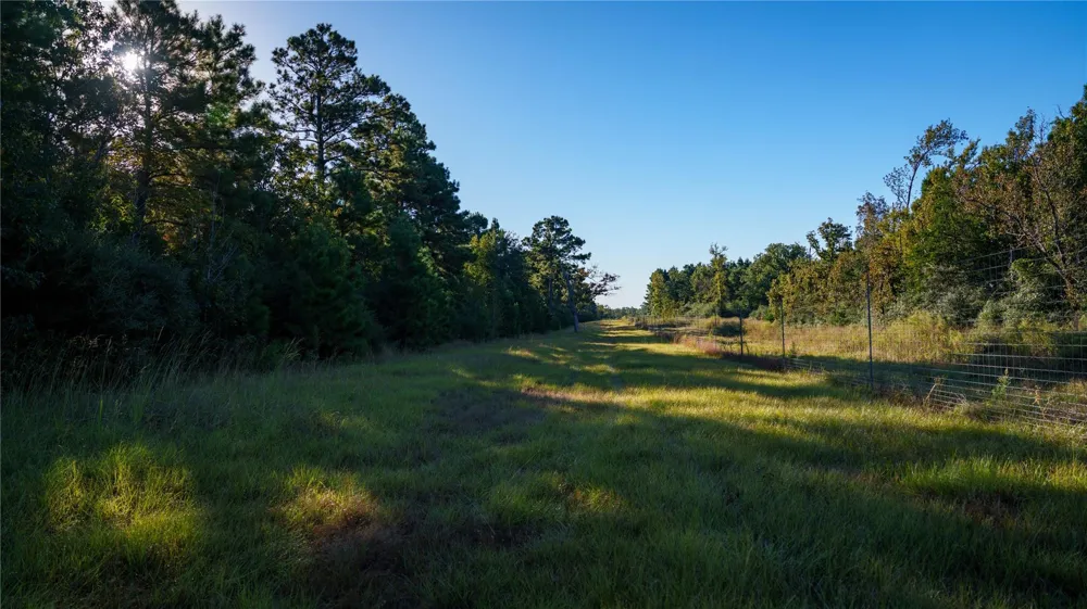 15383 County Road 236 Oakwood, TX 75855