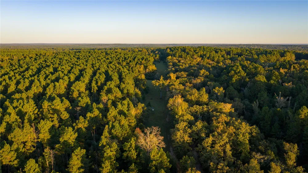 15383 County Road 236 Oakwood, TX 75855