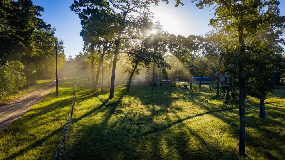 15383 County Road 236 Oakwood, TX 75855