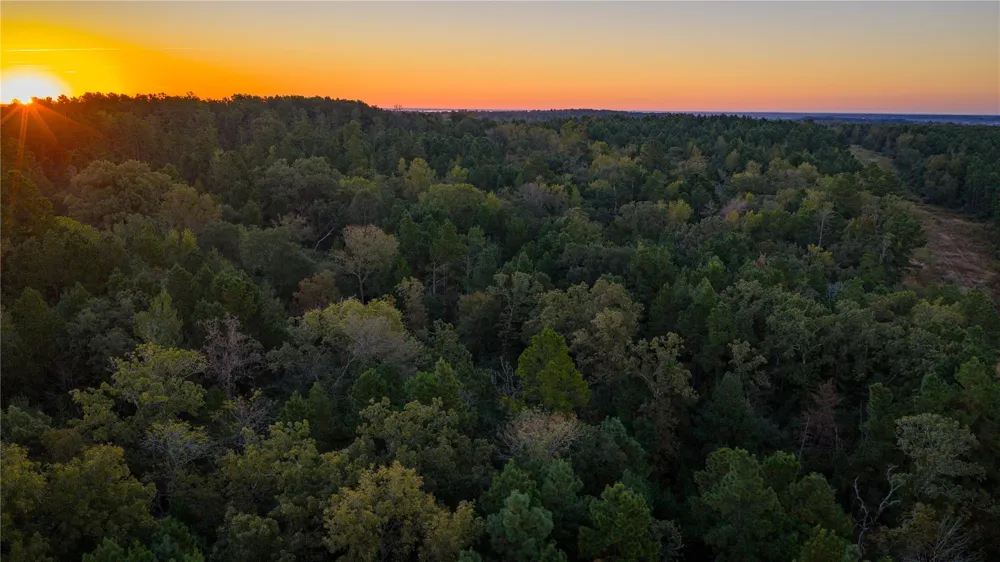 15383 County Road 236 Oakwood, TX 75855
