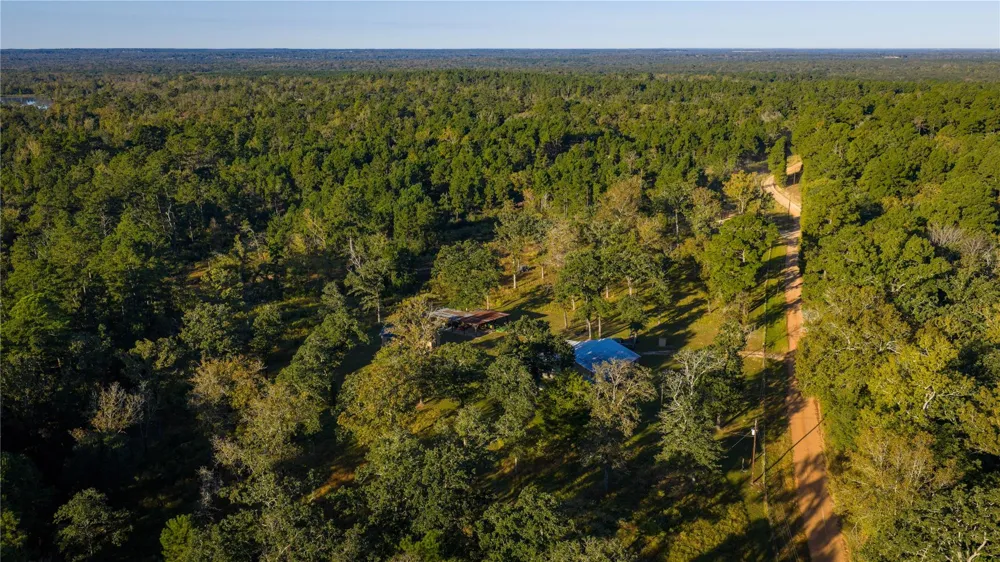 15383 County Road 236 Oakwood, TX 75855
