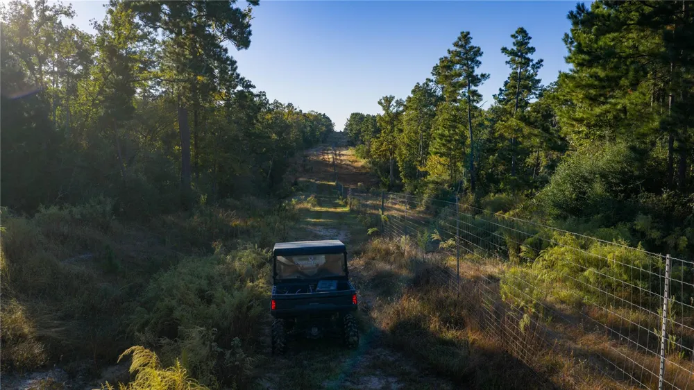 15383 County Road 236 Oakwood, TX 75855