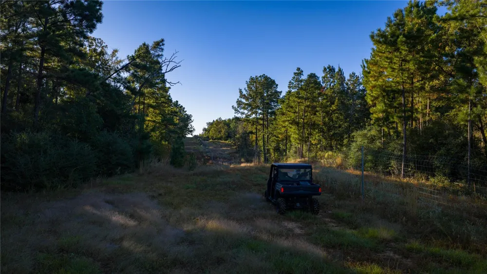 15383 County Road 236 Oakwood, TX 75855