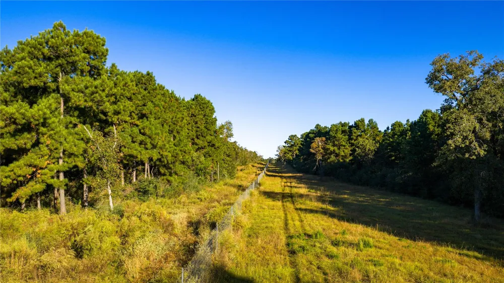 15383 County Road 236 Oakwood, TX 75855