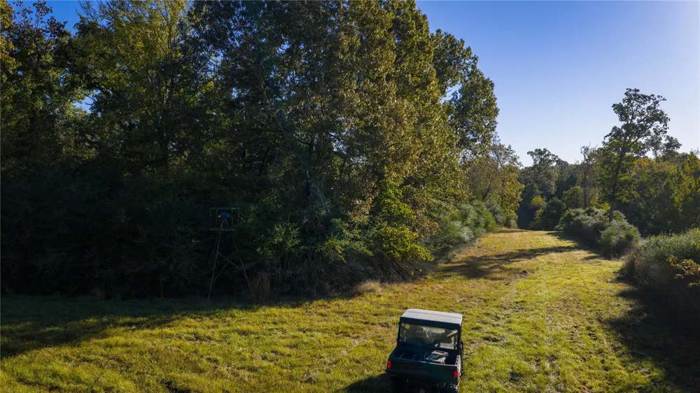 15383 County Road 236 Oakwood, TX 75855