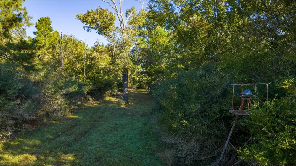 15383 County Road 236 Oakwood, TX 75855