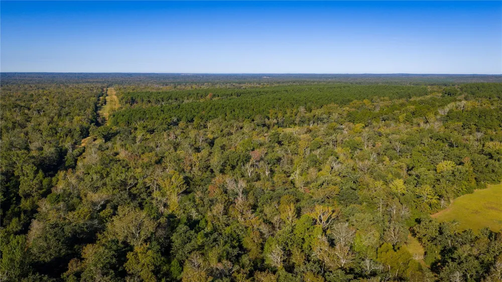 15383 County Road 236 Oakwood, TX 75855