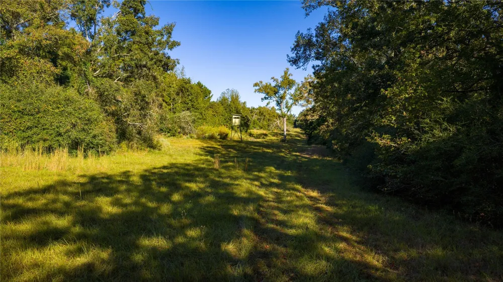 15383 County Road 236 Oakwood, TX 75855