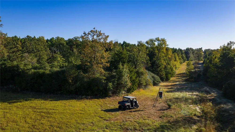15383 County Road 236 Oakwood, TX 75855