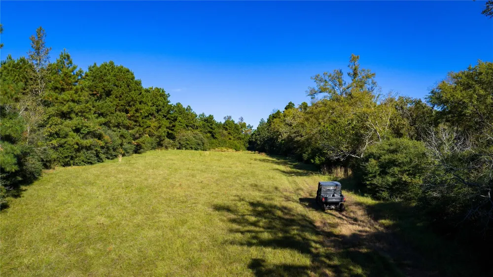 15383 County Road 236 Oakwood, TX 75855