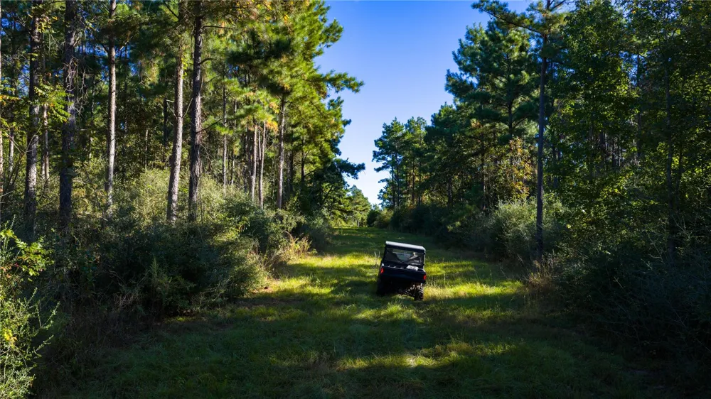 15383 County Road 236 Oakwood, TX 75855