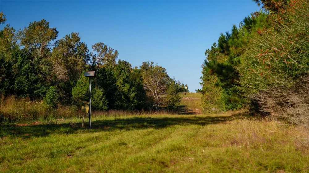 15383 County Road 236 Oakwood, TX 75855