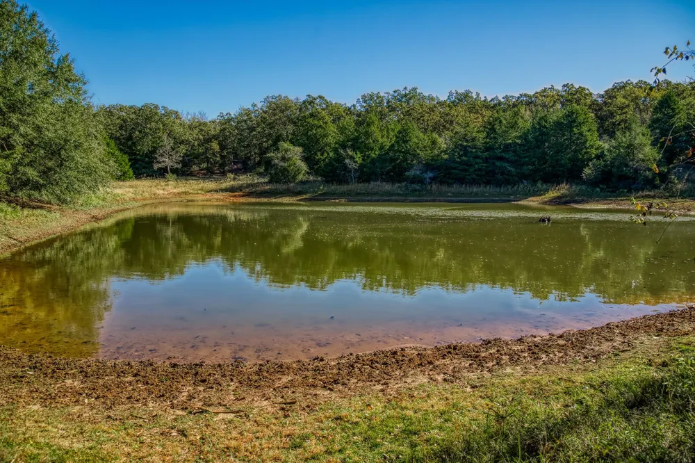 7266 County Road 449 Marquez, TX 77865
