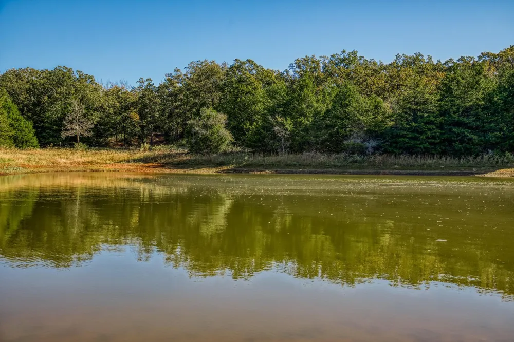 7266 County Road 449 Marquez, TX 77865